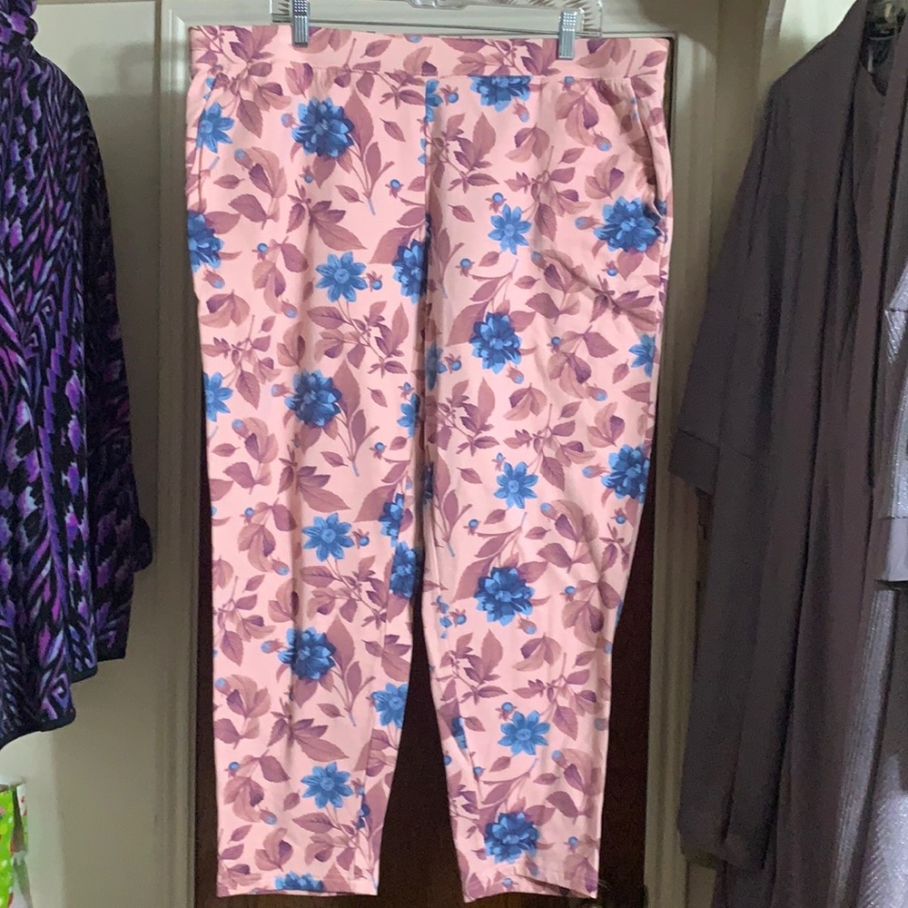 D&Co Knit Pants